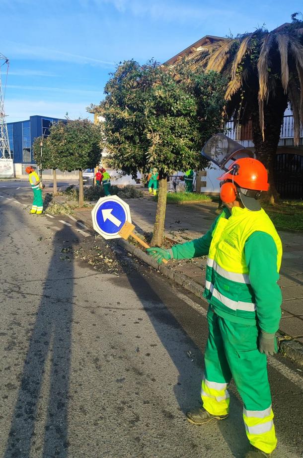 Programa experiencial de Santoña